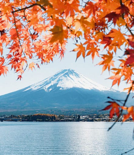 Japan Tours