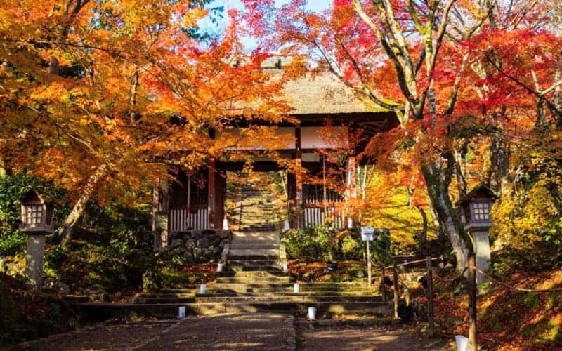 Arashiyama Jojakkoji Temple Autumn Maple Scenery
