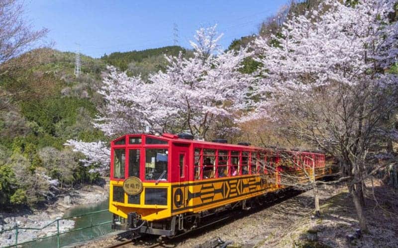 Ride The Sagano Romantic Train