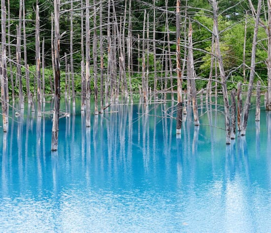 Hokkaido Travel