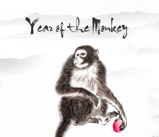 Year of the Monkey
