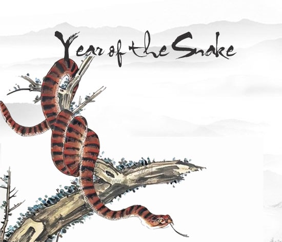 Year of the Snake
