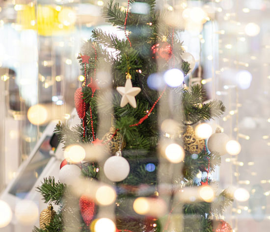 Christmas in Japan