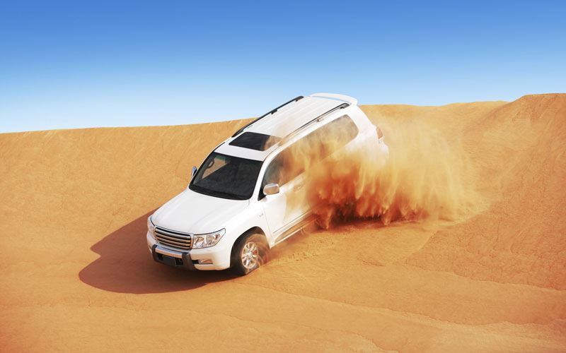 Dubai Desert Safari