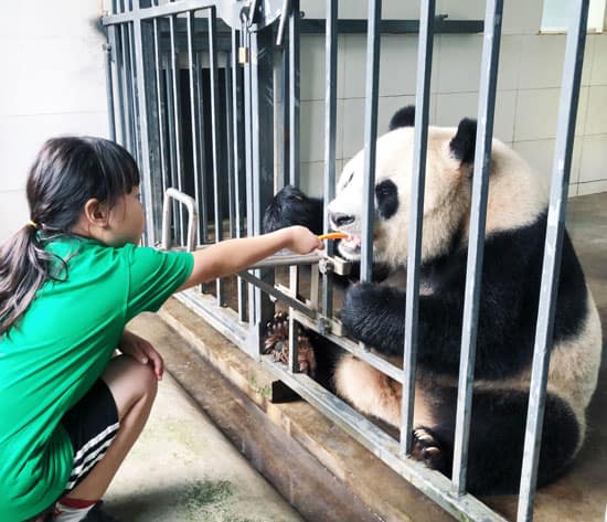 China Family Tour Experience