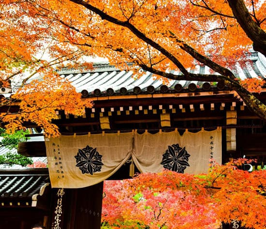 Autumn in Japan
