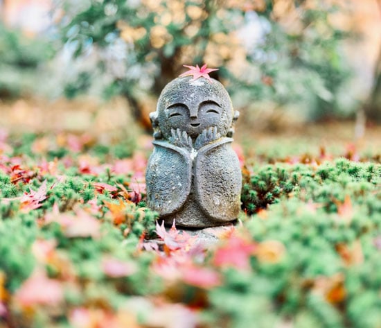 Japan in Fall