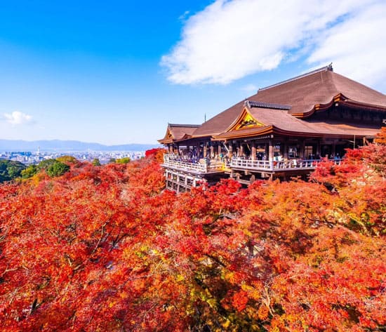 Kyoto in Autumn