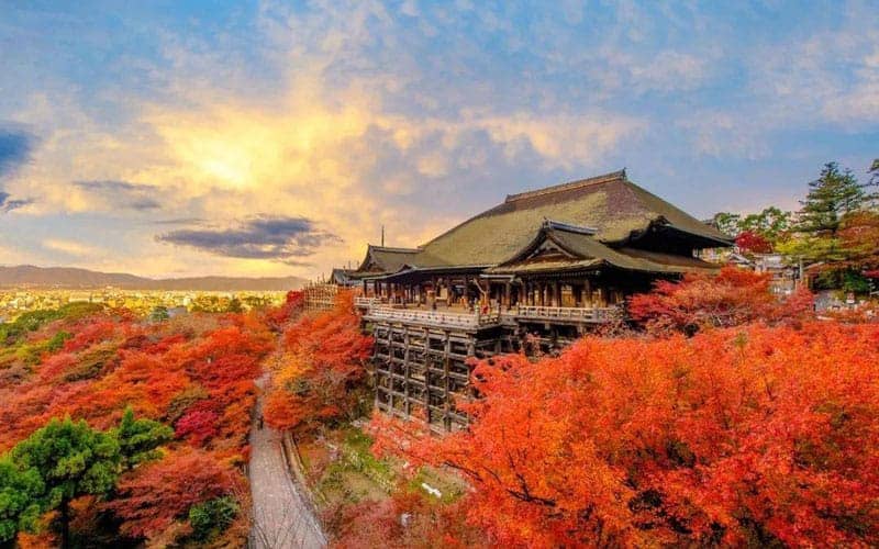 Kiyomizu-dera Temple Stage of Kiyomizu Autumn Leaves Scenery