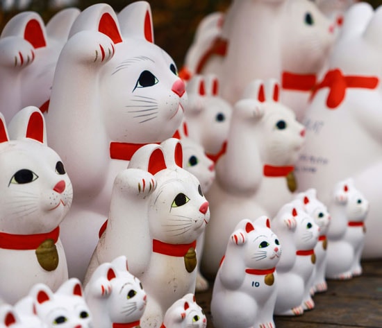 Maneki Neko Cat