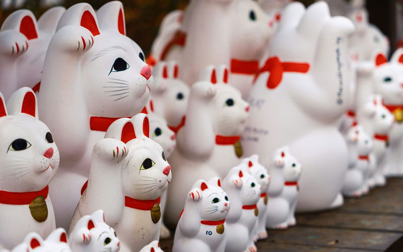 Maneki Neko (Japanese Good Luck Cat)