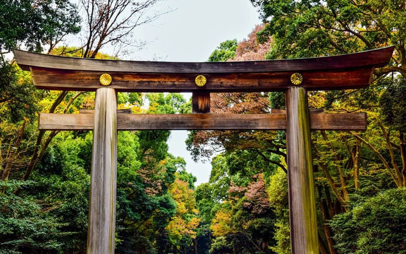 Meiji Shrine Torii Gate