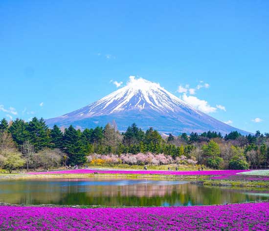 Top Things to Do in Japan