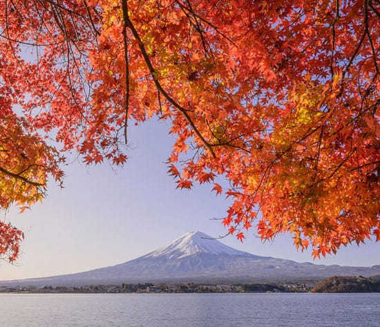 Tokyo Mt Fuji Hakone Tour