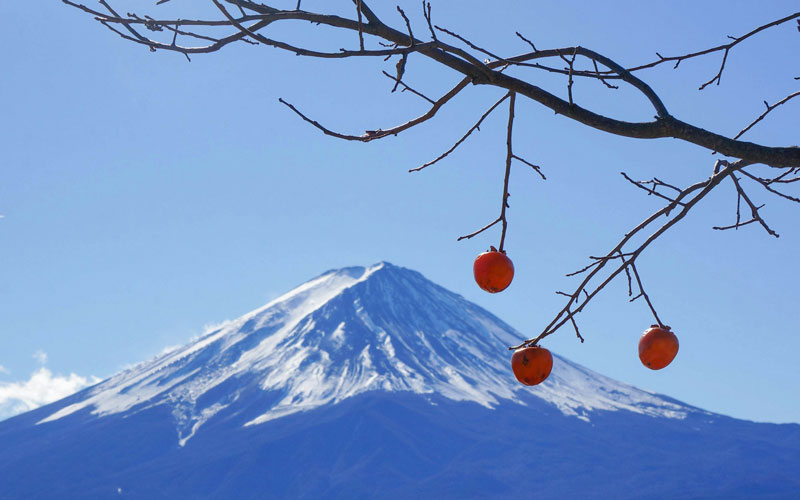 Mount Fuji Summit