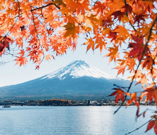 Mt. Fuji Fall Foliage