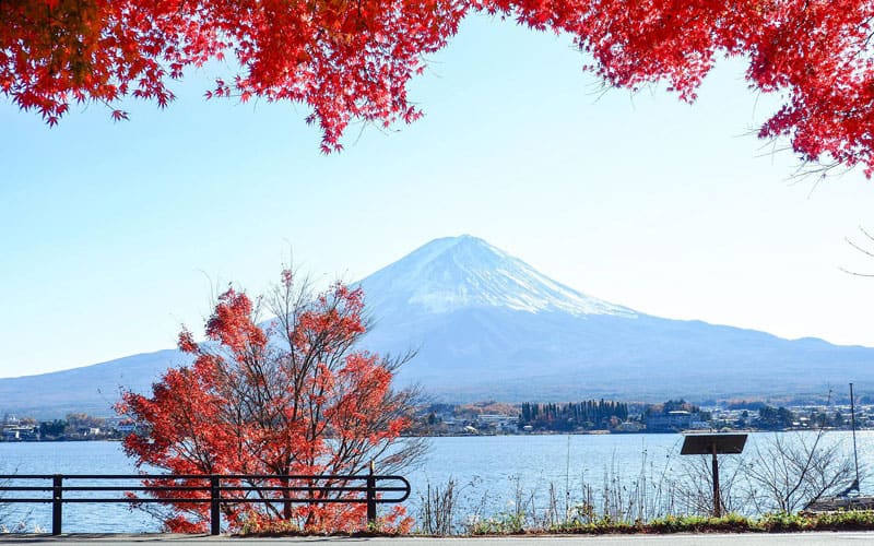 Mount Fuji Autumn Colors