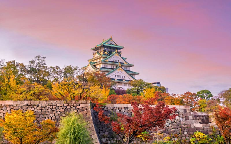Osaka Castle Park Autumn Leaves View