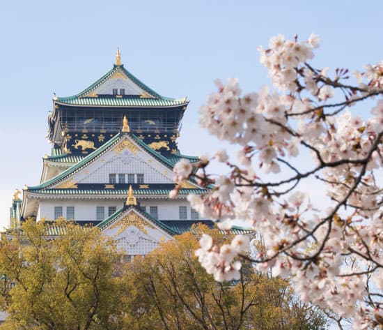 Japan Tour to Osaka Castle