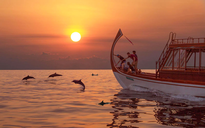 Radisson Blu Maldives Sunset Dolphin Cruise