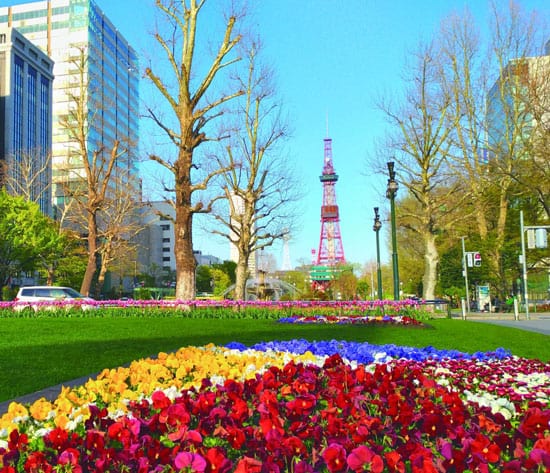 Odori Park