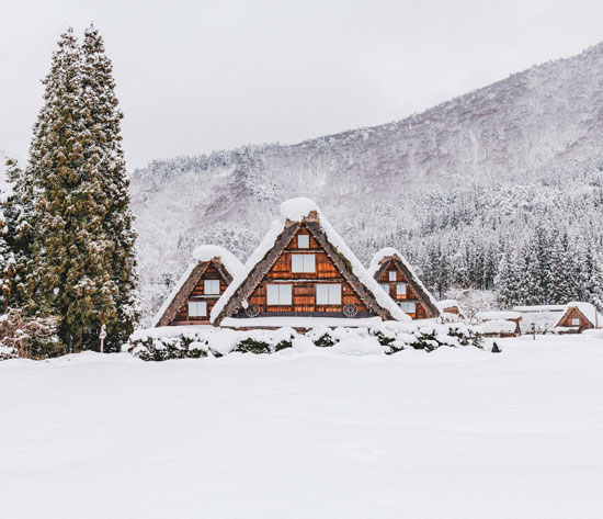 Winter in Japan