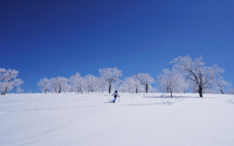 Kiroro Ski Resort Hokkaido