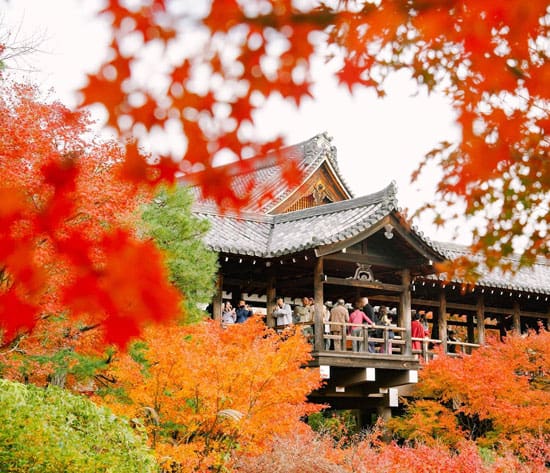 Kyoto in Autumn