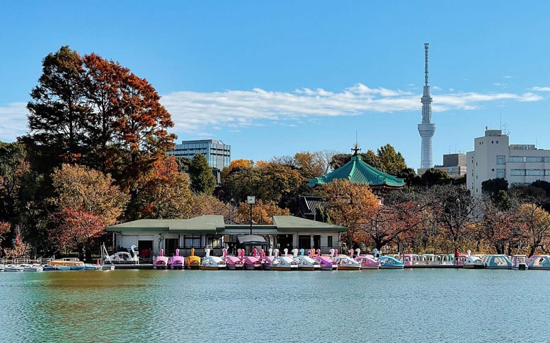 Ueno Park Shinobazu Pond Autumn Foliage