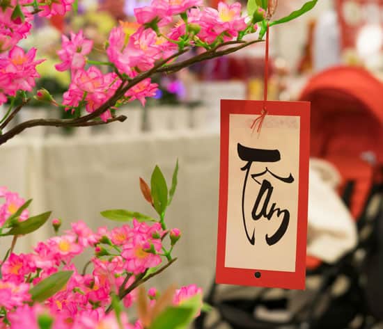 Vietnamese New Year (Tết Festival)